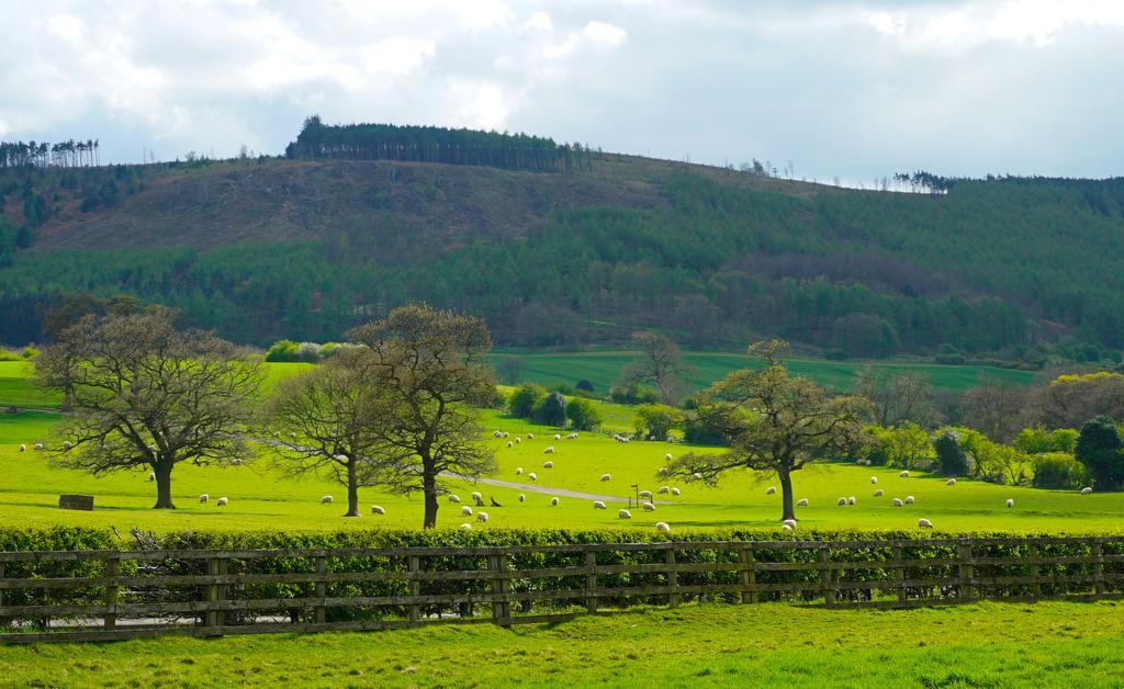 Gisborough Hall Hotel Guisborough Zewnętrze zdjęcie