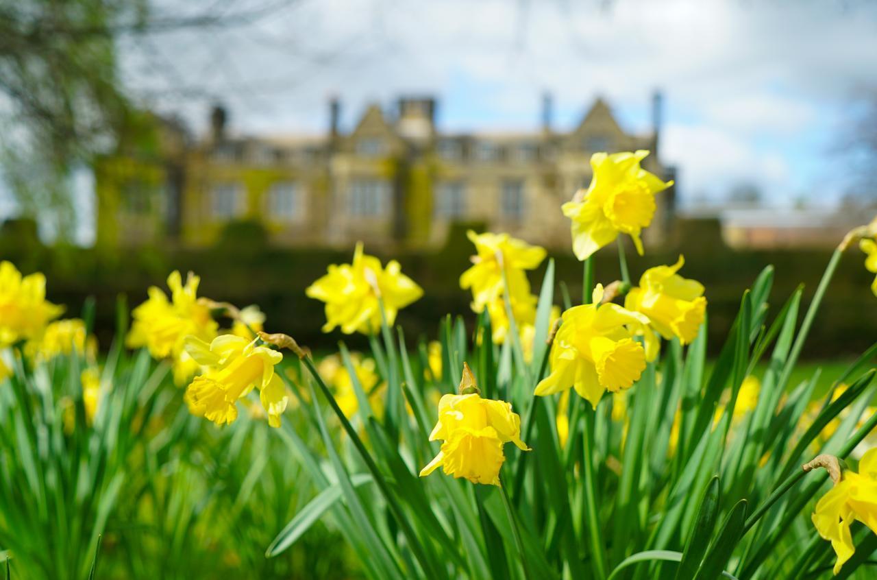Gisborough Hall Hotel Guisborough Zewnętrze zdjęcie